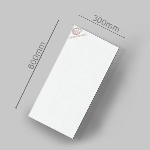 GLOSS WHITE 300X600